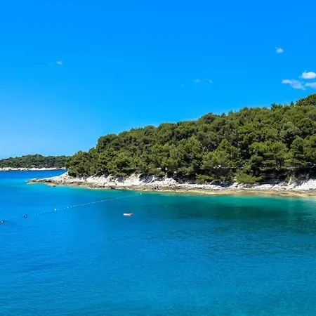 Nora Near The Διαμέρισμα Πούλα