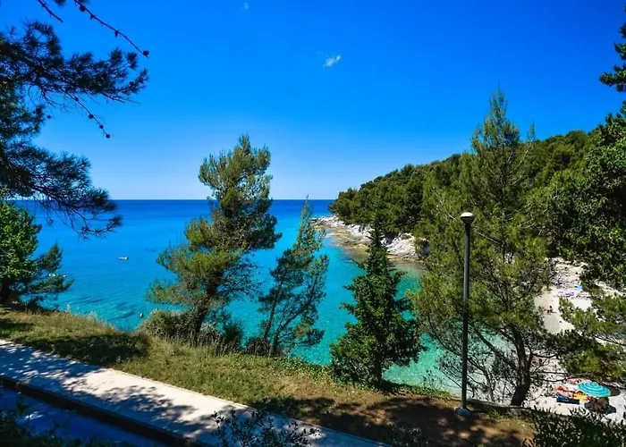 Apartment Nora Near The *